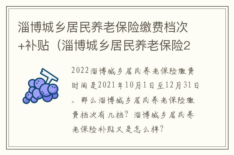 淄博城乡居民养老保险缴费档次+补贴（淄博城乡居民养老保险2019年新政策）