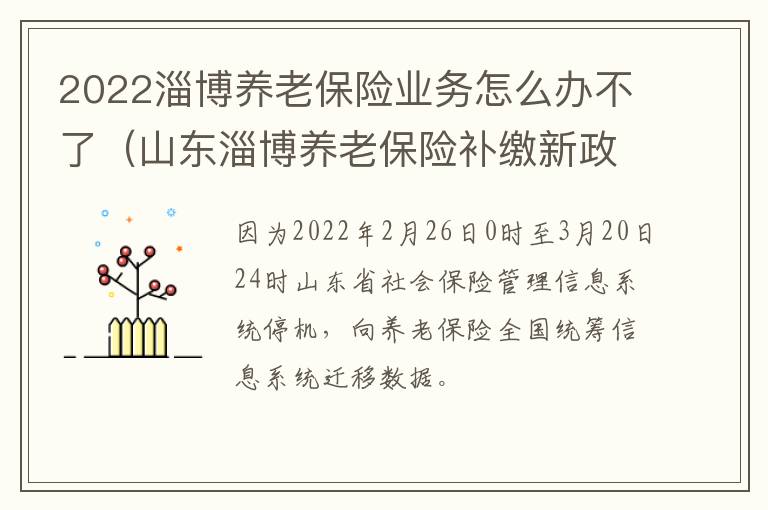 2022淄博养老保险业务怎么办不了（山东淄博养老保险补缴新政策）