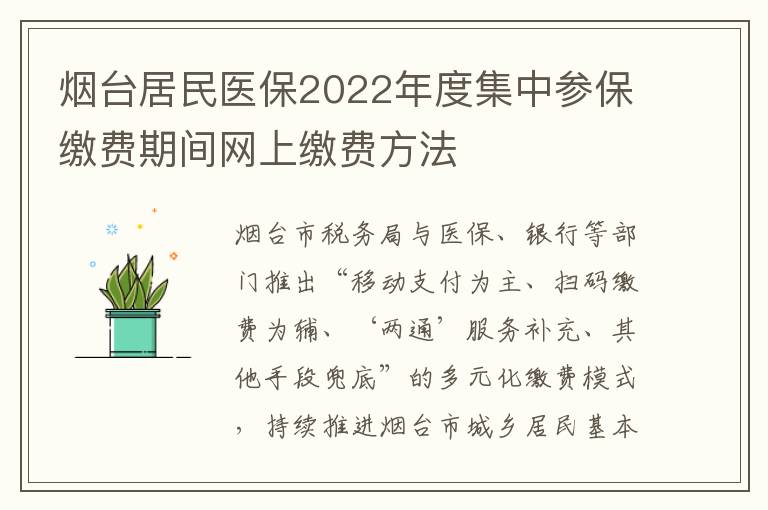 烟台居民医保2022年度集中参保缴费期间网上缴费方法