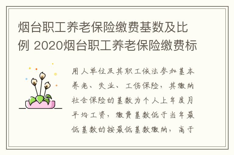 烟台职工养老保险缴费基数及比例 2020烟台职工养老保险缴费标准