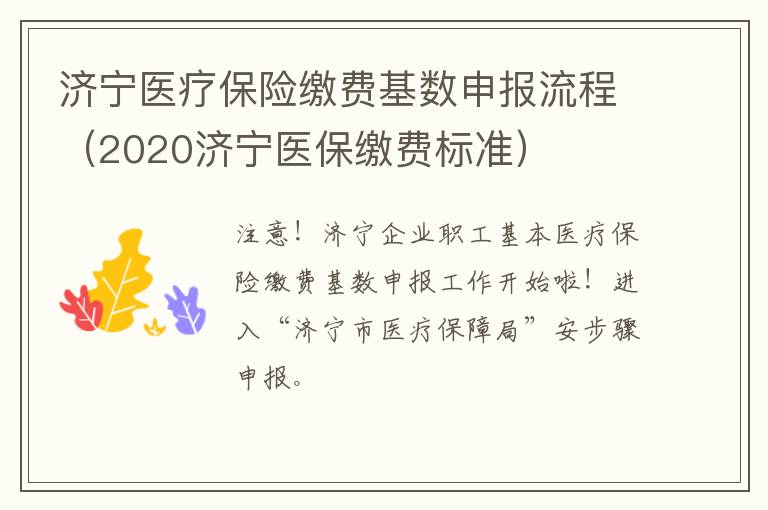 济宁医疗保险缴费基数申报流程（2020济宁医保缴费标准）