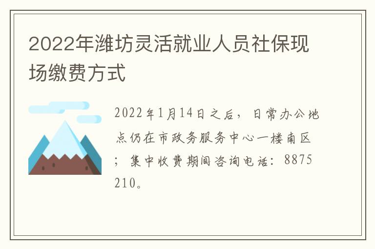 2022年潍坊灵活就业人员社保现场缴费方式