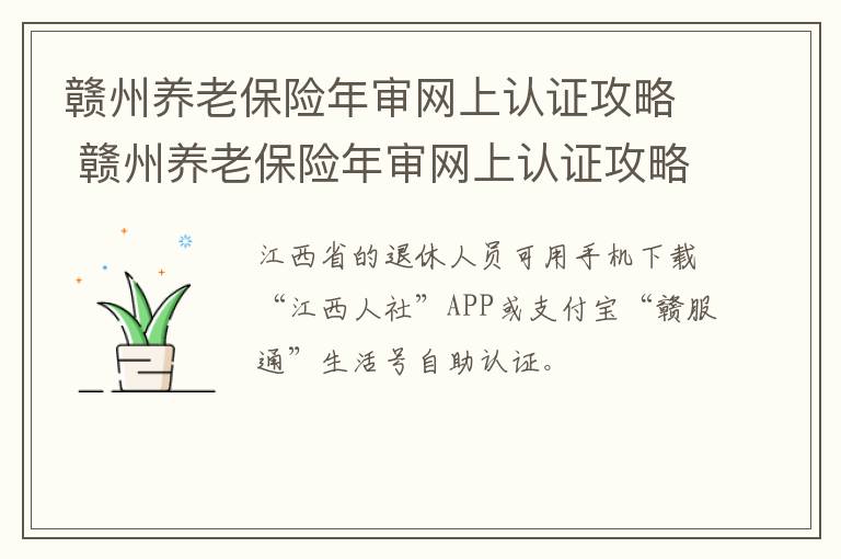 赣州养老保险年审网上认证攻略 赣州养老保险年审网上认证攻略查询