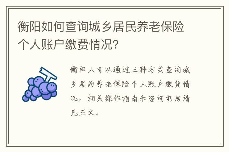 衡阳如何查询城乡居民养老保险个人账户缴费情况？