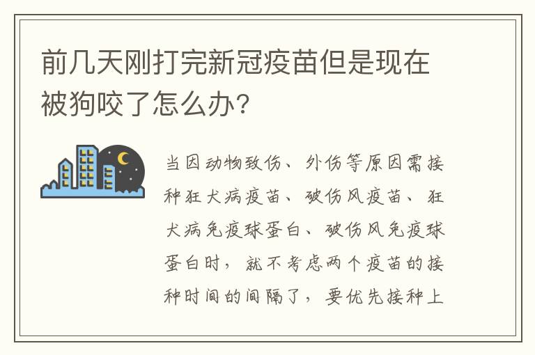 前几天刚打完新冠疫苗但是现在被狗咬了怎么办?