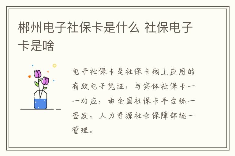 郴州电子社保卡是什么 社保电子卡是啥