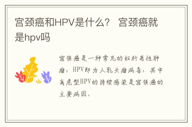 宫颈癌和HPV是什么？ 宫颈癌就是hpv吗