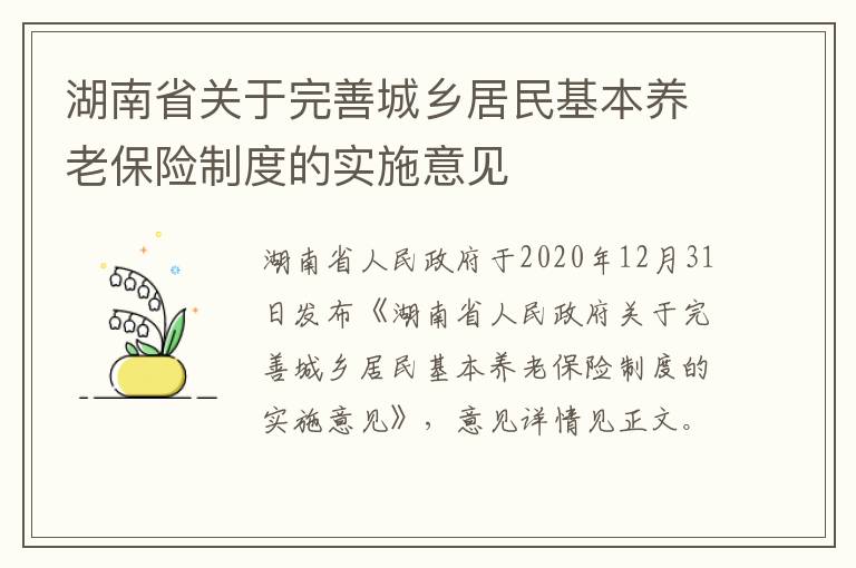 湖南省关于完善城乡居民基本养老保险制度的实施意见