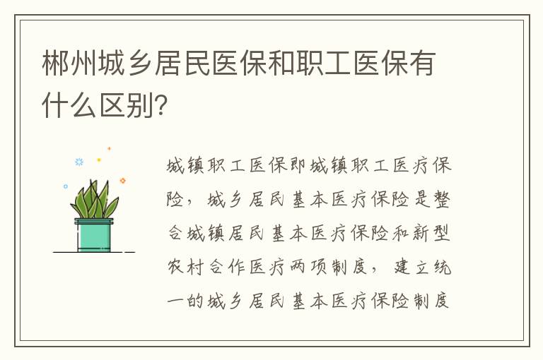 郴州城乡居民医保和职工医保有什么区别？