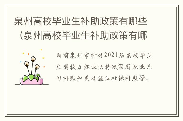 泉州高校毕业生补助政策有哪些（泉州高校毕业生补助政策有哪些项目）