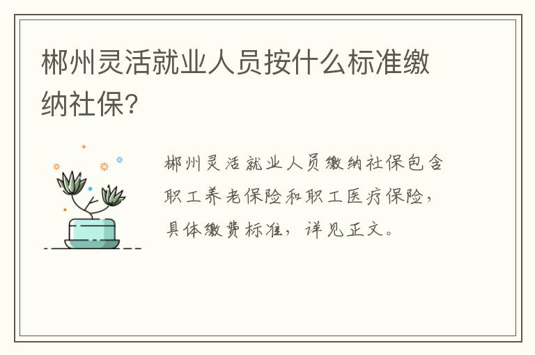 郴州灵活就业人员按什么标准缴纳社保?