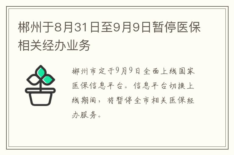 郴州于8月31日至9月9日暂停医保相关经办业务