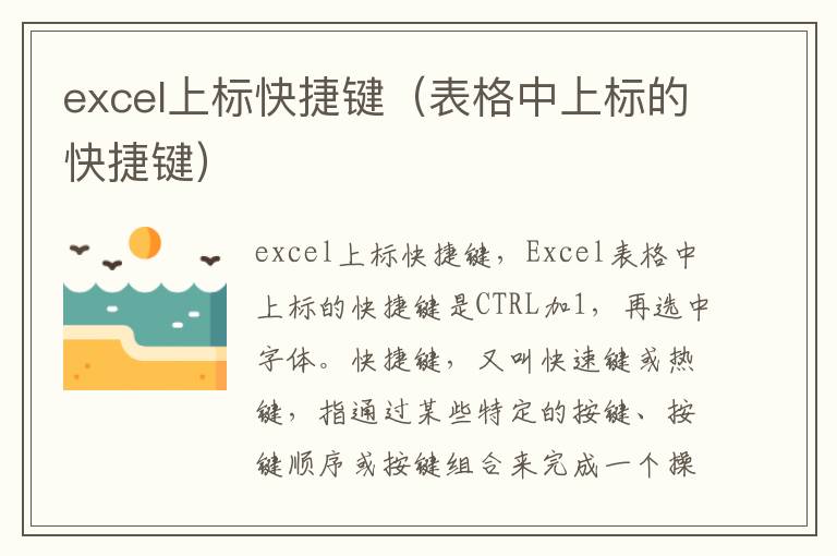 excel上标快捷键（表格中上标的快捷键）