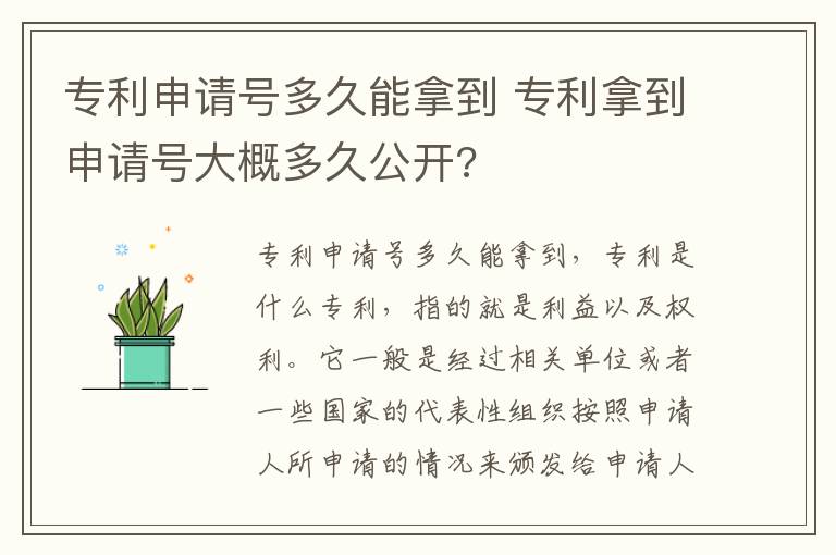 专利申请号多久能拿到 专利拿到申请号大概多久公开?