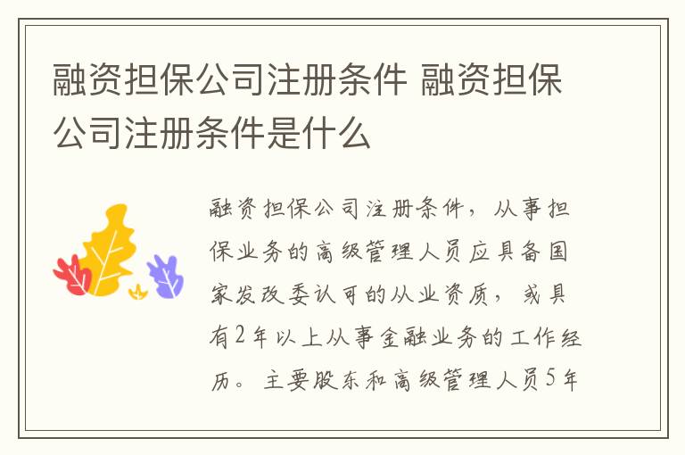 融资担保公司注册条件 融资担保公司注册条件是什么