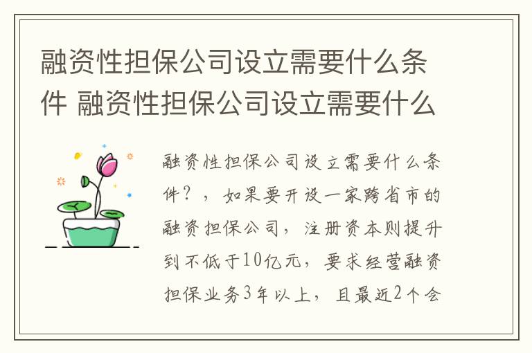 融资性担保公司设立需要什么条件 融资性担保公司设立需要什么条件才能办理