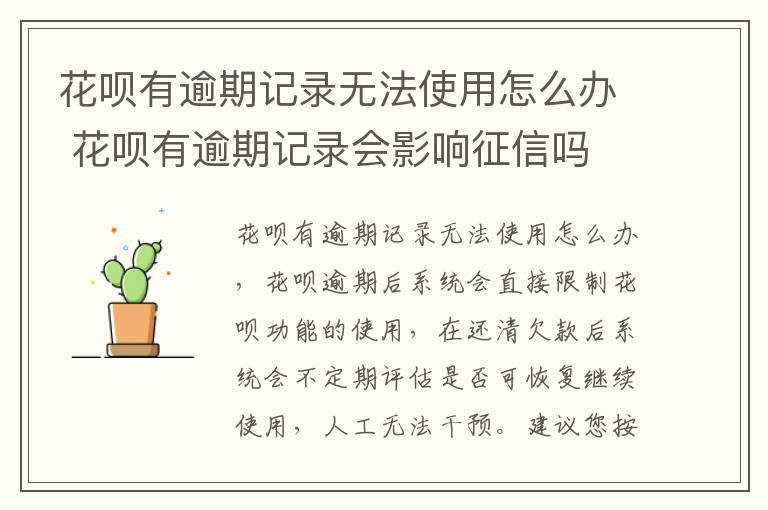 花呗有逾期记录无法使用怎么办 花呗有逾期记录会影响征信吗