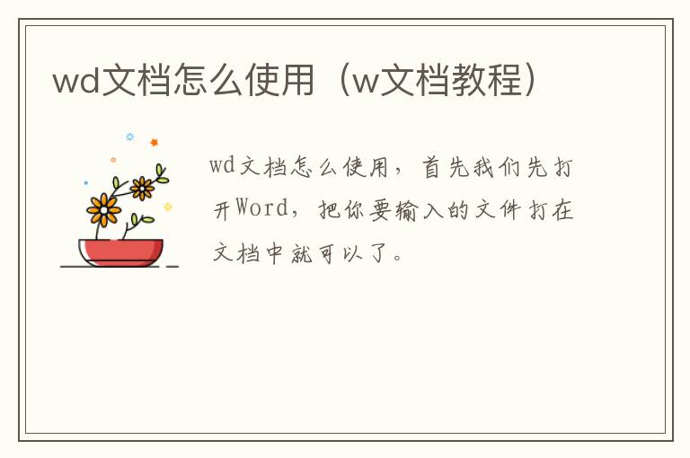 wd文档怎么使用（w文档教程）