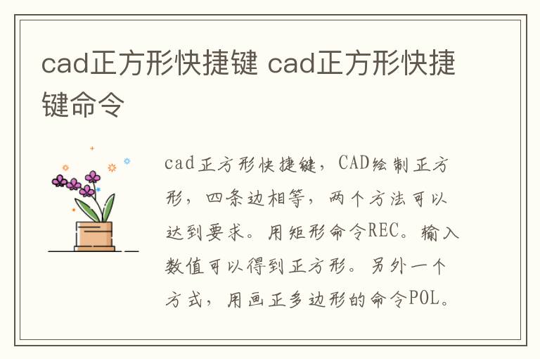 cad正方形快捷键 cad正方形快捷键命令