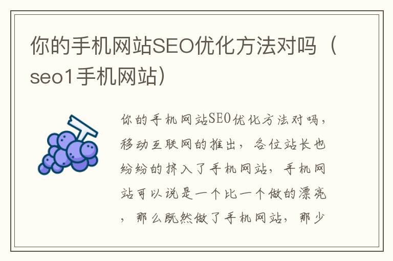 你的手机网站SEO优化方法对吗（seo1手机网站）