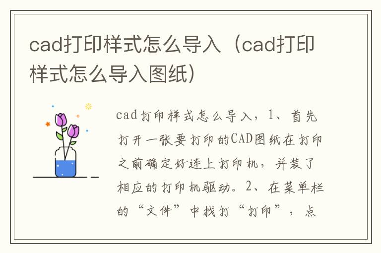 cad打印样式怎么导入（cad打印样式怎么导入图纸）