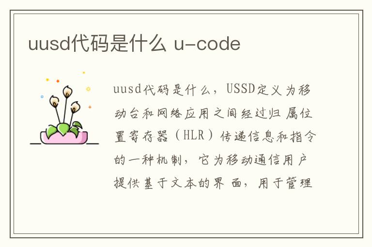 uusd代码是什么 u-code