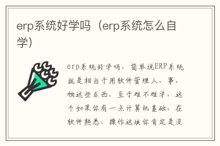 erp系统好学吗（erp系统怎么自学）