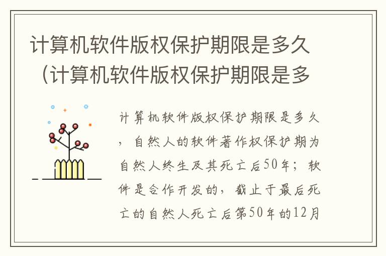 计算机软件版权保护期限是多久（计算机软件版权保护期限是多久啊）