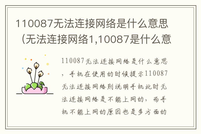 110087无法连接网络是什么意思（无法连接网络1,10087是什么意思）