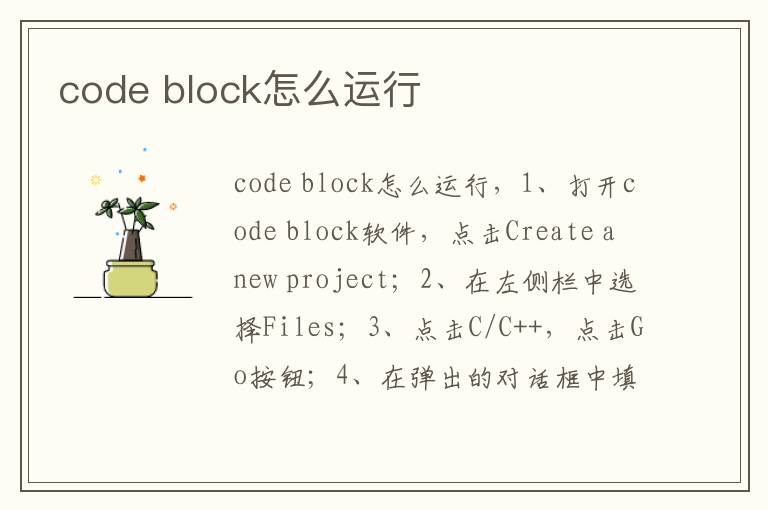 code block怎么运行