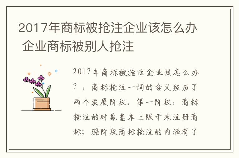 2017年商标被抢注企业该怎么办 企业商标被别人抢注