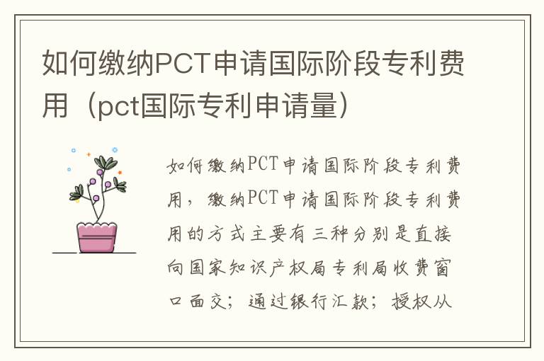 如何缴纳PCT申请国际阶段专利费用（pct国际专利申请量）