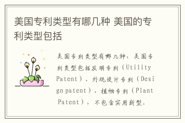 美国专利类型有哪几种 美国的专利类型包括