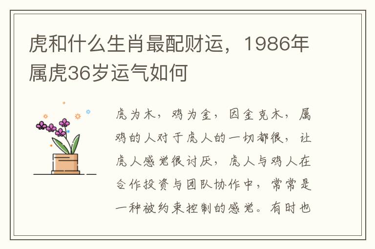 虎和什么生肖最配财运，1986年属虎36岁运气如何