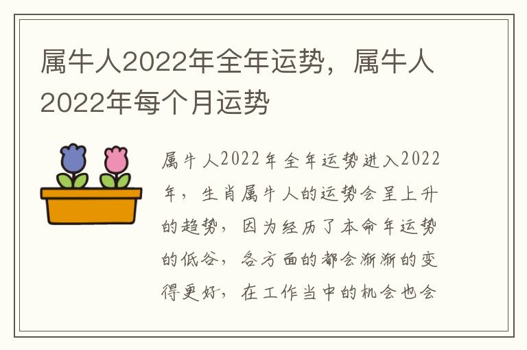 属牛人2022年全年运势，属牛人2022年每个月运势