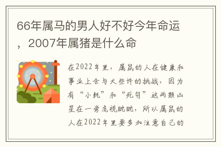 66年属马的男人好不好今年命运，2007年属猪是什么命