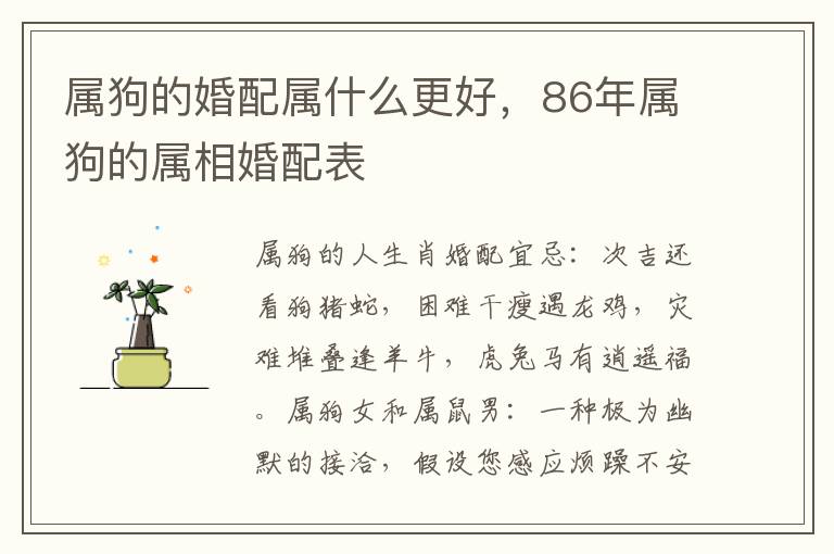 属狗的婚配属什么更好，86年属狗的属相婚配表