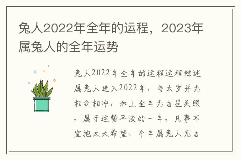 兔人2022年全年的运程，2023年属兔人的全年运势