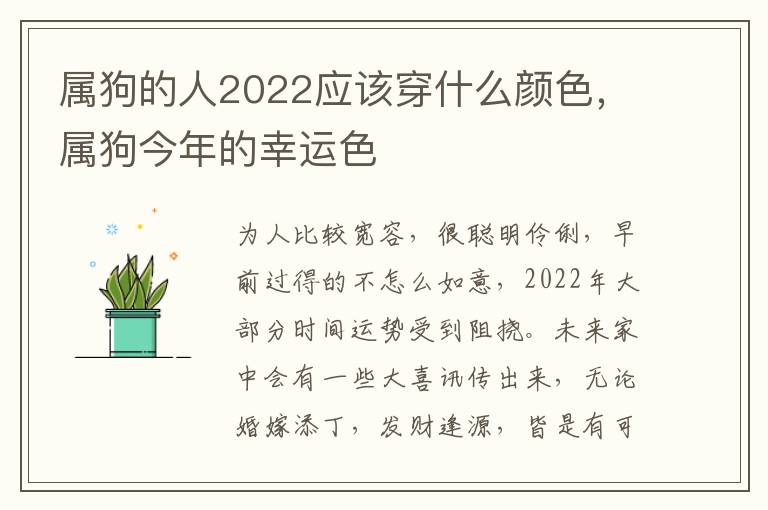 属狗的人2022应该穿什么颜色，属狗今年的幸运色