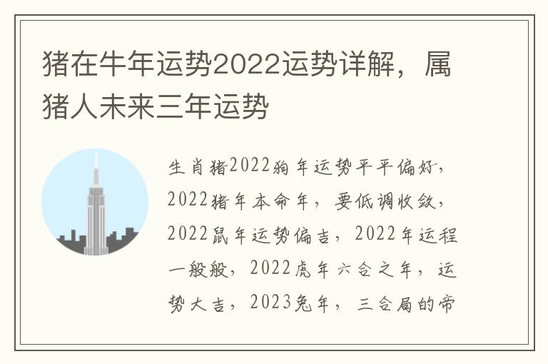 猪在牛年运势2022运势详解，属猪人未来三年运势