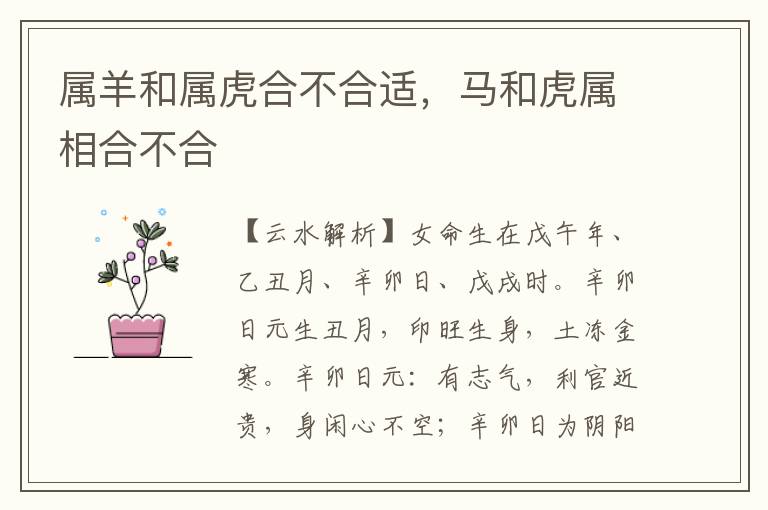 属羊和属虎合不合适，马和虎属相合不合