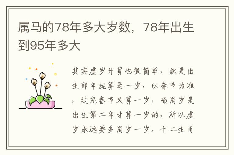 属马的78年多大岁数，78年出生到95年多大