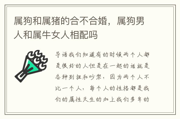 属狗和属猪的合不合婚，属狗男人和属牛女人相配吗