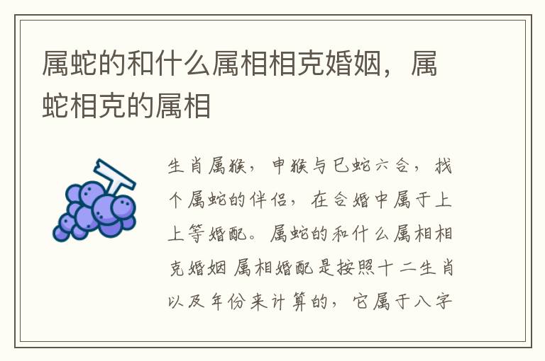 属蛇的和什么属相相克婚姻，属蛇相克的属相