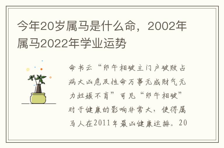 今年20岁属马是什么命，2002年属马2022年学业运势