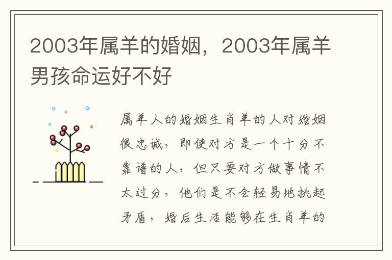 2003年属羊的婚姻，2003年属羊男孩命运好不好