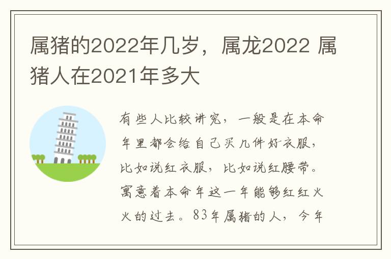 属猪的2022年几岁，属龙2022 属猪人在2021年多大