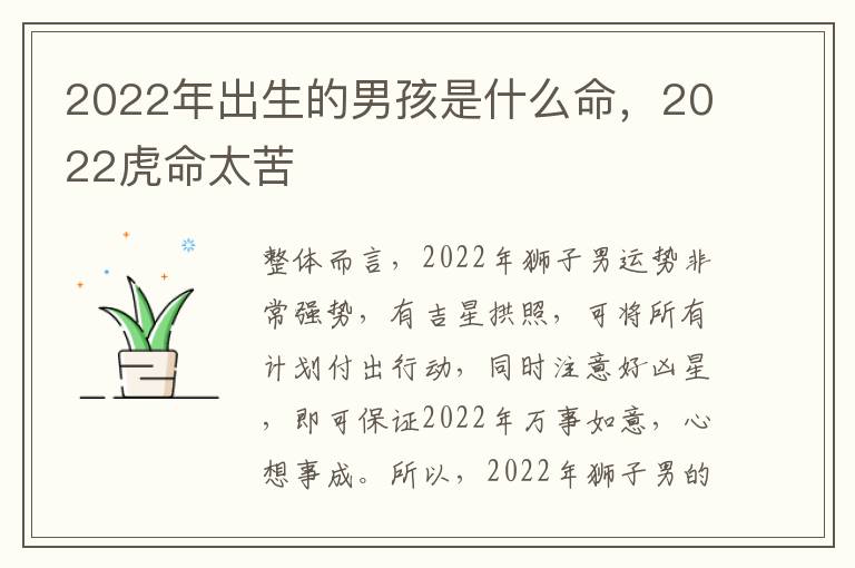 2022年出生的男孩是什么命，2022虎命太苦