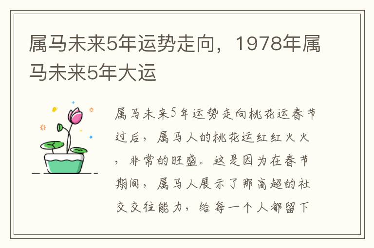 属马未来5年运势走向，1978年属马未来5年大运