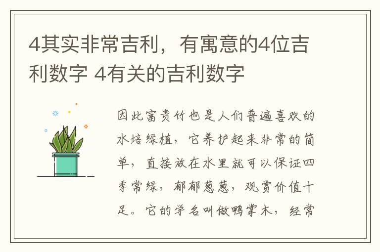 4其实非常吉利，有寓意的4位吉利数字 4有关的吉利数字